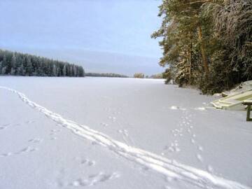Фото номера Дом для отпуска Дома для отпуска Holiday Home Willa kasari г. Hakoniemi 63