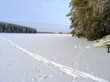 Фото номера Дом для отпуска Дома для отпуска Holiday Home Willa kasari г. Hakoniemi 26