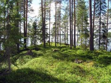 Фото номера Дом для отпуска Дома для отпуска Holiday Home Puolukka г. Hakoniemi 38