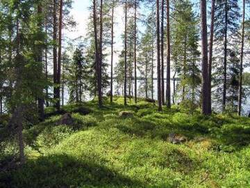 Фото номера Дом для отпуска Дома для отпуска Holiday Home Puolukka г. Hakoniemi 10